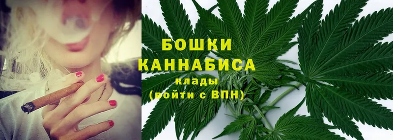 где купить   Лесосибирск  omg сайт  Канабис OG Kush 